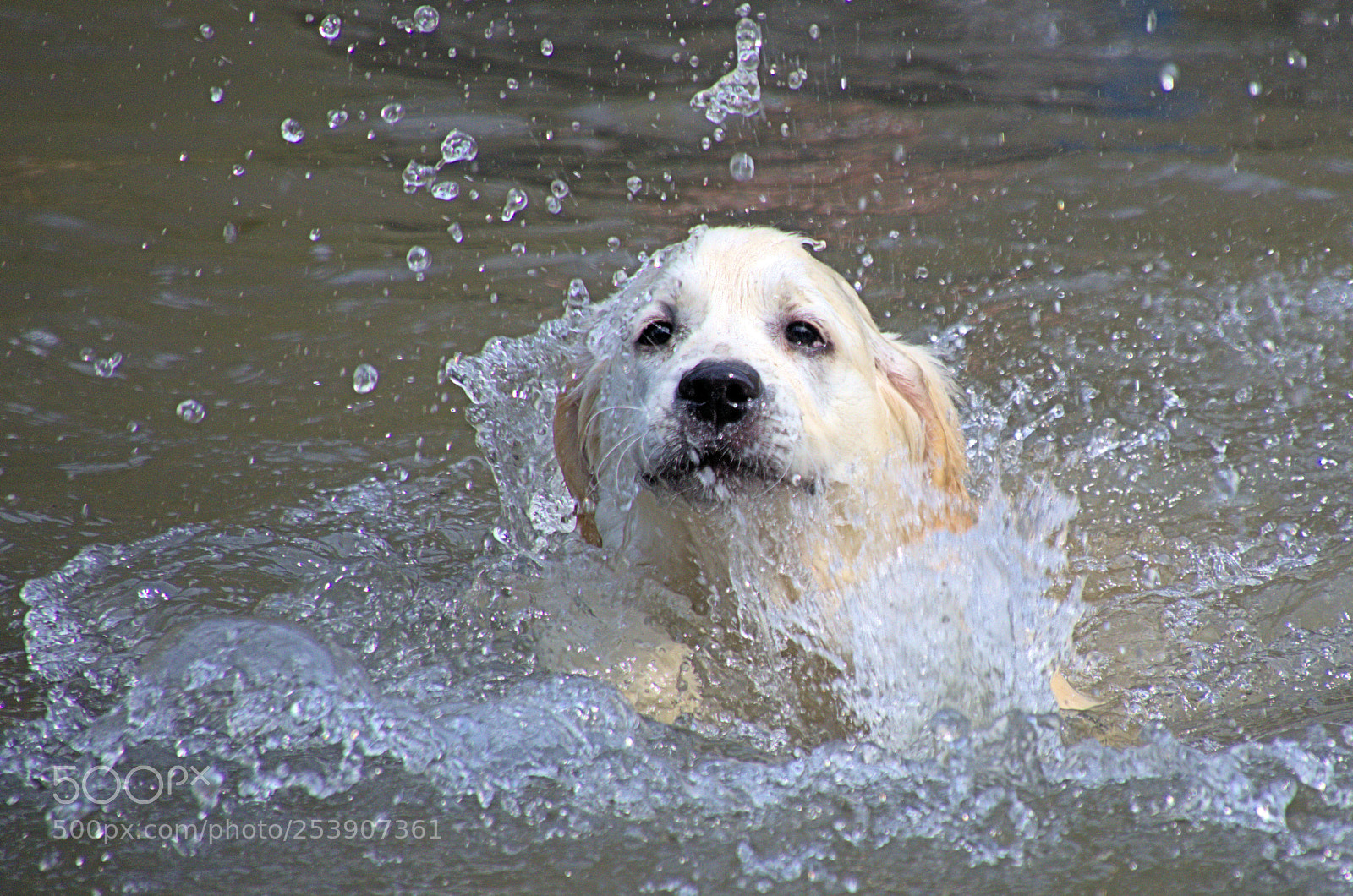 Nikon D7000 sample photo. Mise à l'eau photography