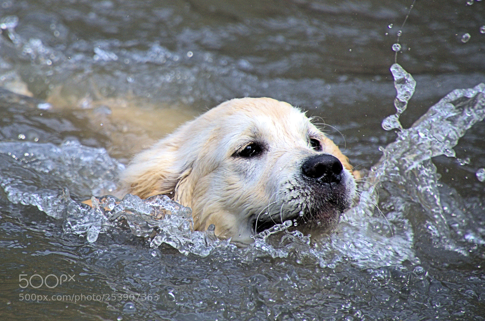 Nikon D7000 sample photo. Mise à l'eau photography