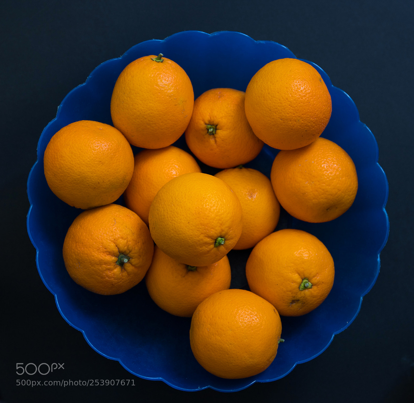 Canon EOS 6D Mark II sample photo. Orange photography