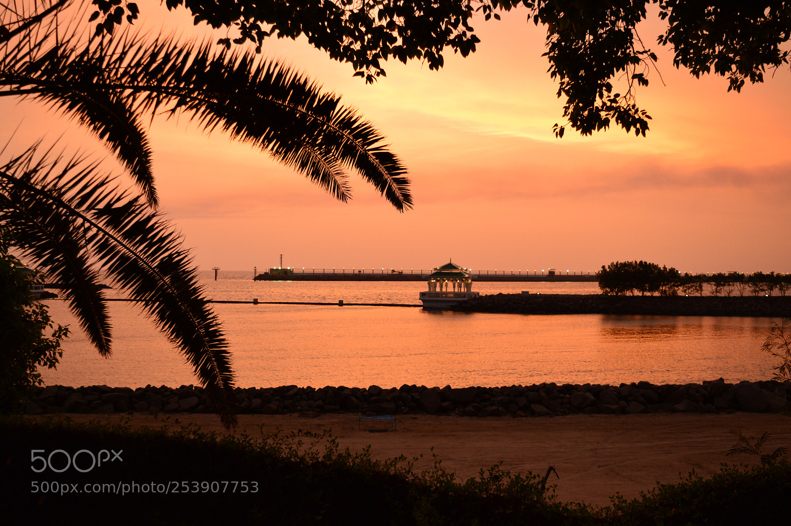 Nikon D3200 sample photo. Documentary photography