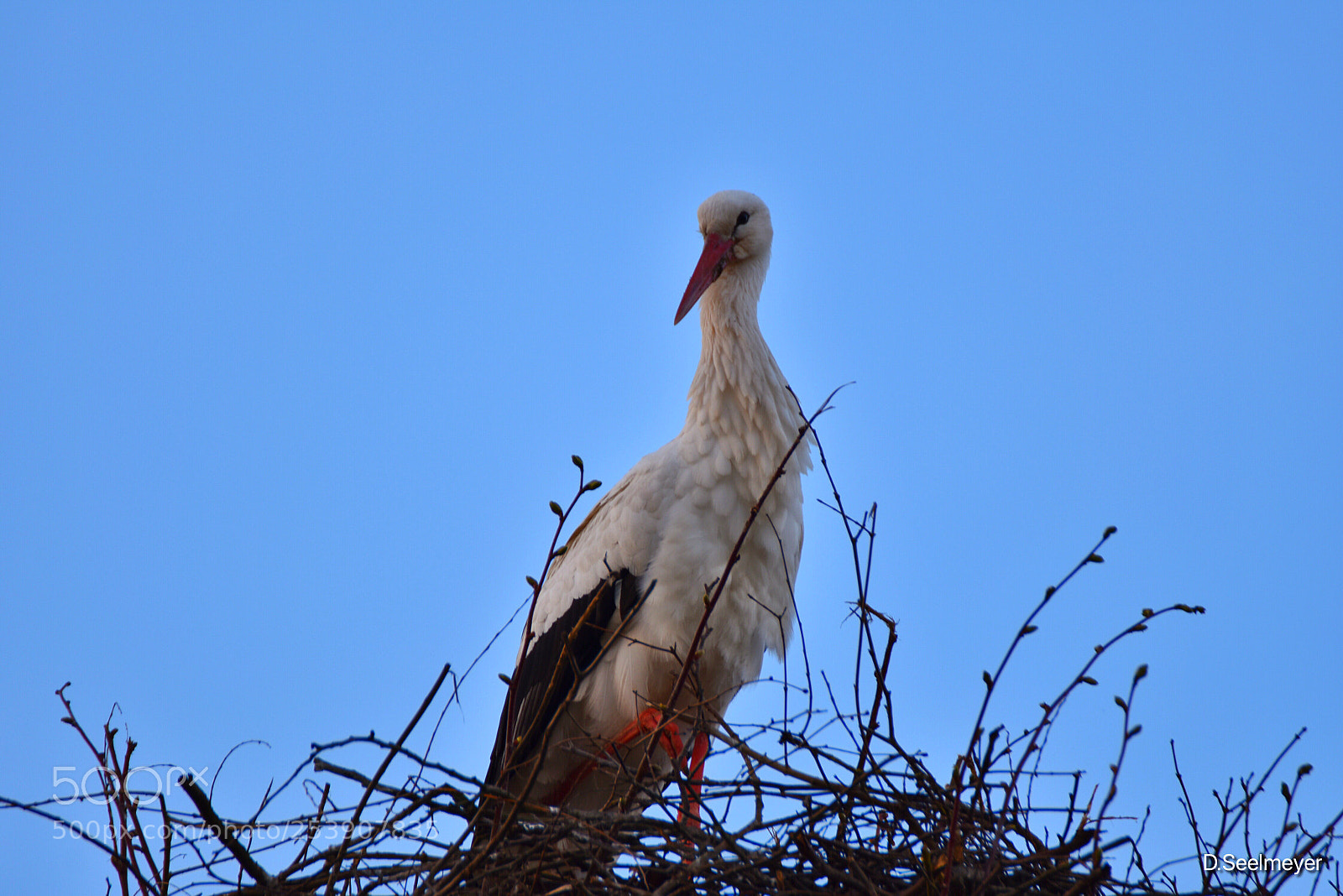 Nikon D3400 sample photo. Untitled photography