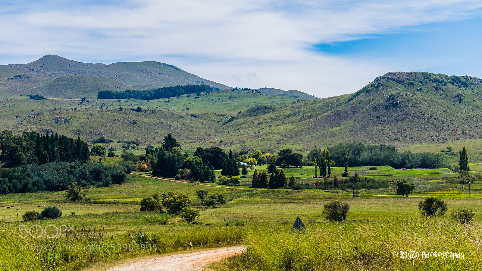 Nikon D5300 sample photo. Shades of green photography