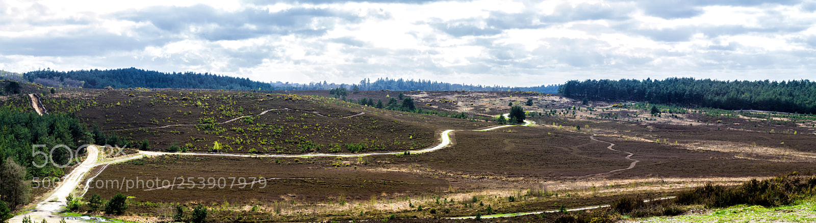 Canon EOS 7D sample photo. Hankley landscape photography