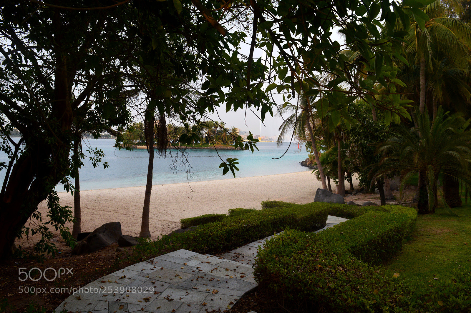 Nikon D3200 sample photo. Documentary photography