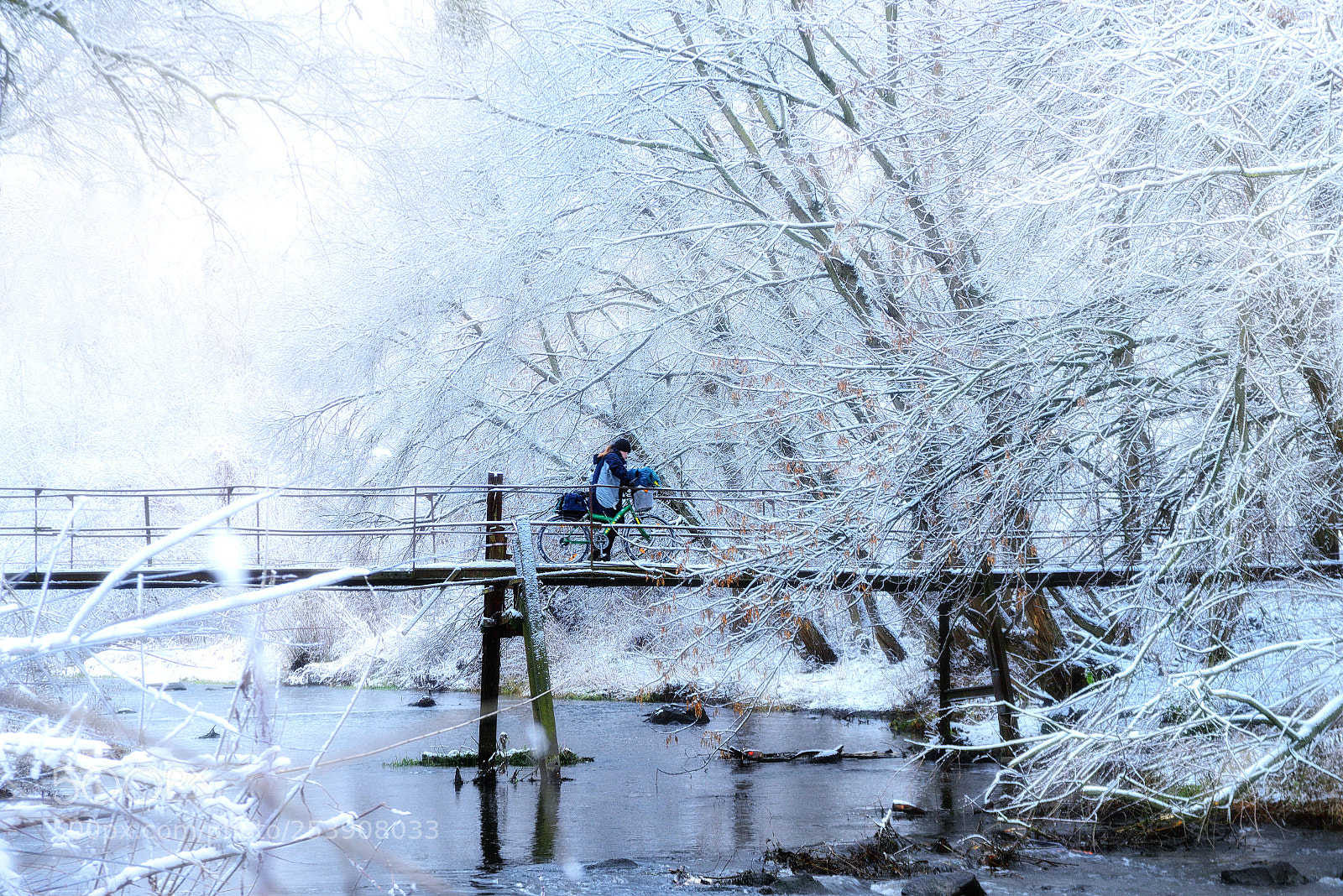 Nikon D800E sample photo. Casual shot photography