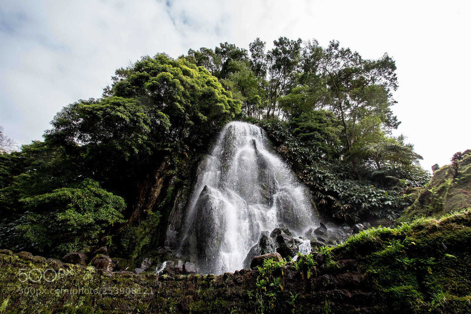 Canon EOS 700D (EOS Rebel T5i / EOS Kiss X7i) sample photo. Surrounded by nature photography