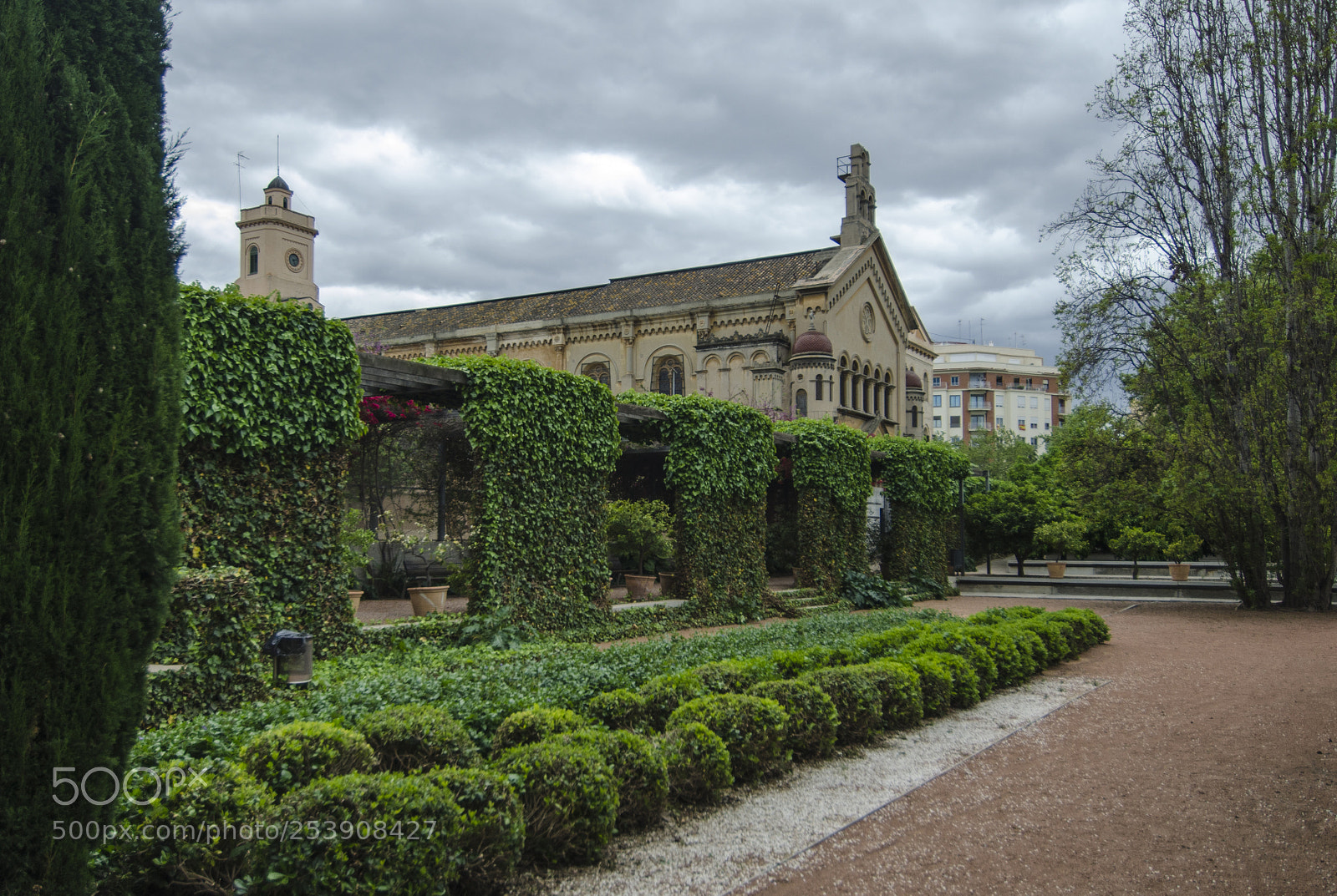 Nikon D7000 sample photo. Garden of the hesperides photography