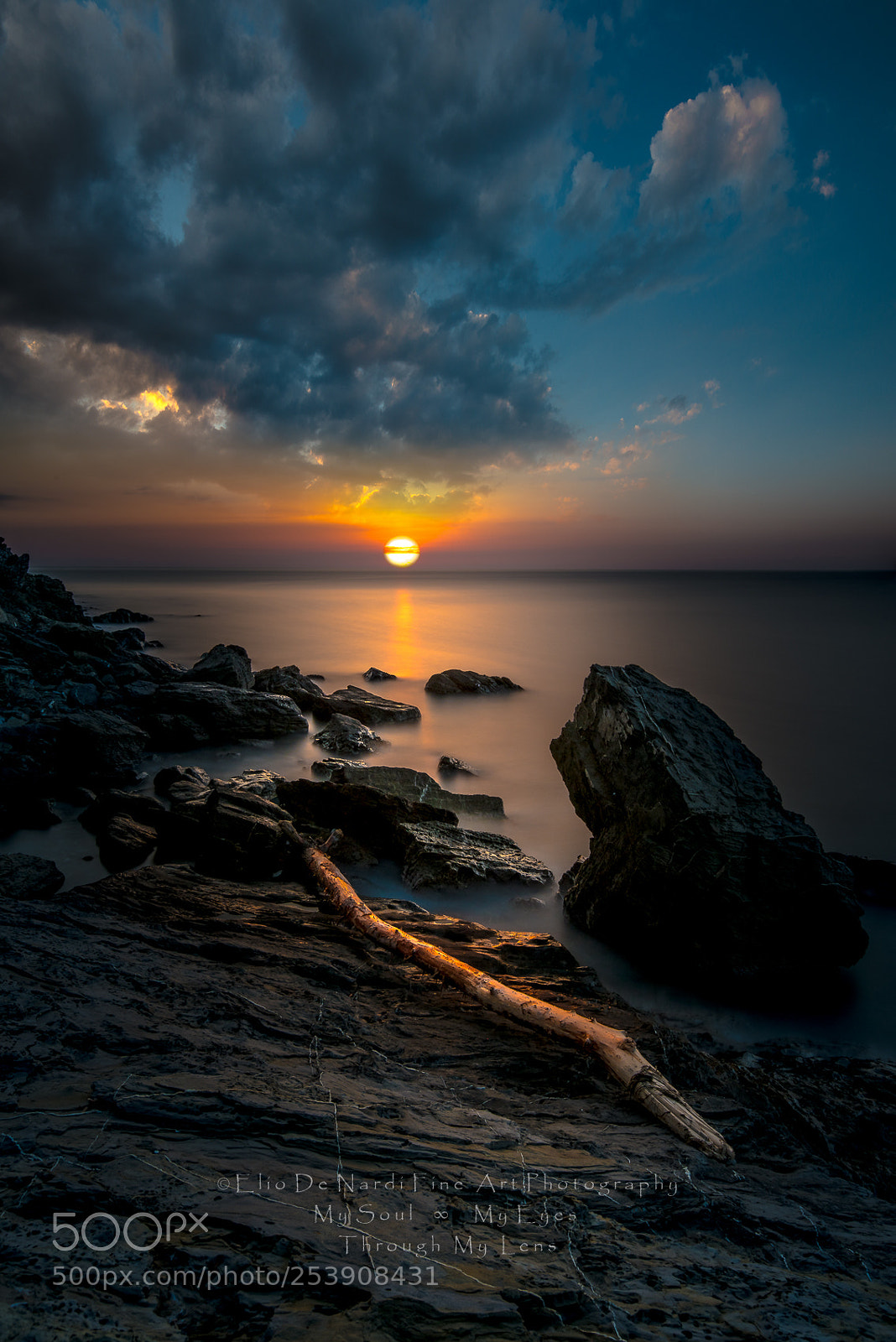 Nikon D810 sample photo. Mozart's symphony photography