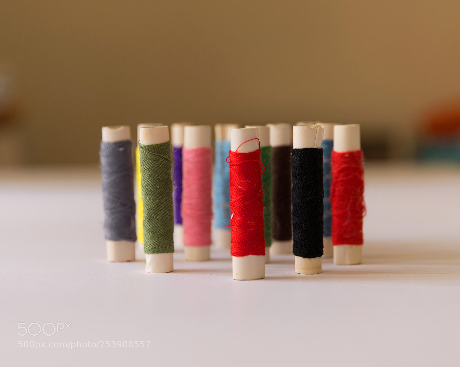Canon EOS 6D Mark II sample photo. Cotton photography