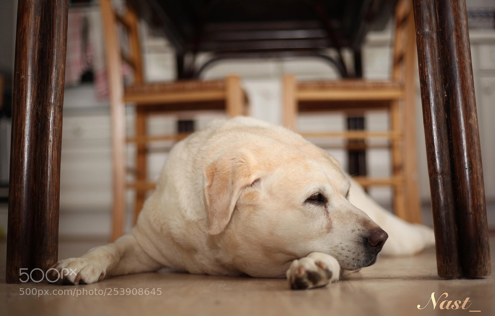 Canon EOS 5D Mark II sample photo. My favorite model photography