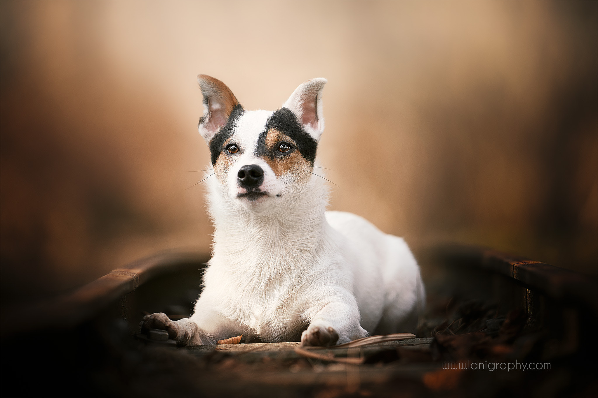 Sony FE 70-200mm F2.8 GM OSS sample photo. Paul photography