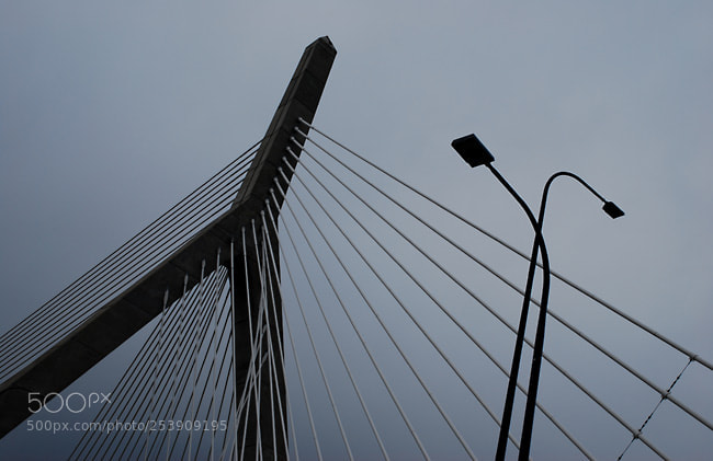 Nikon D60 sample photo. Td photography