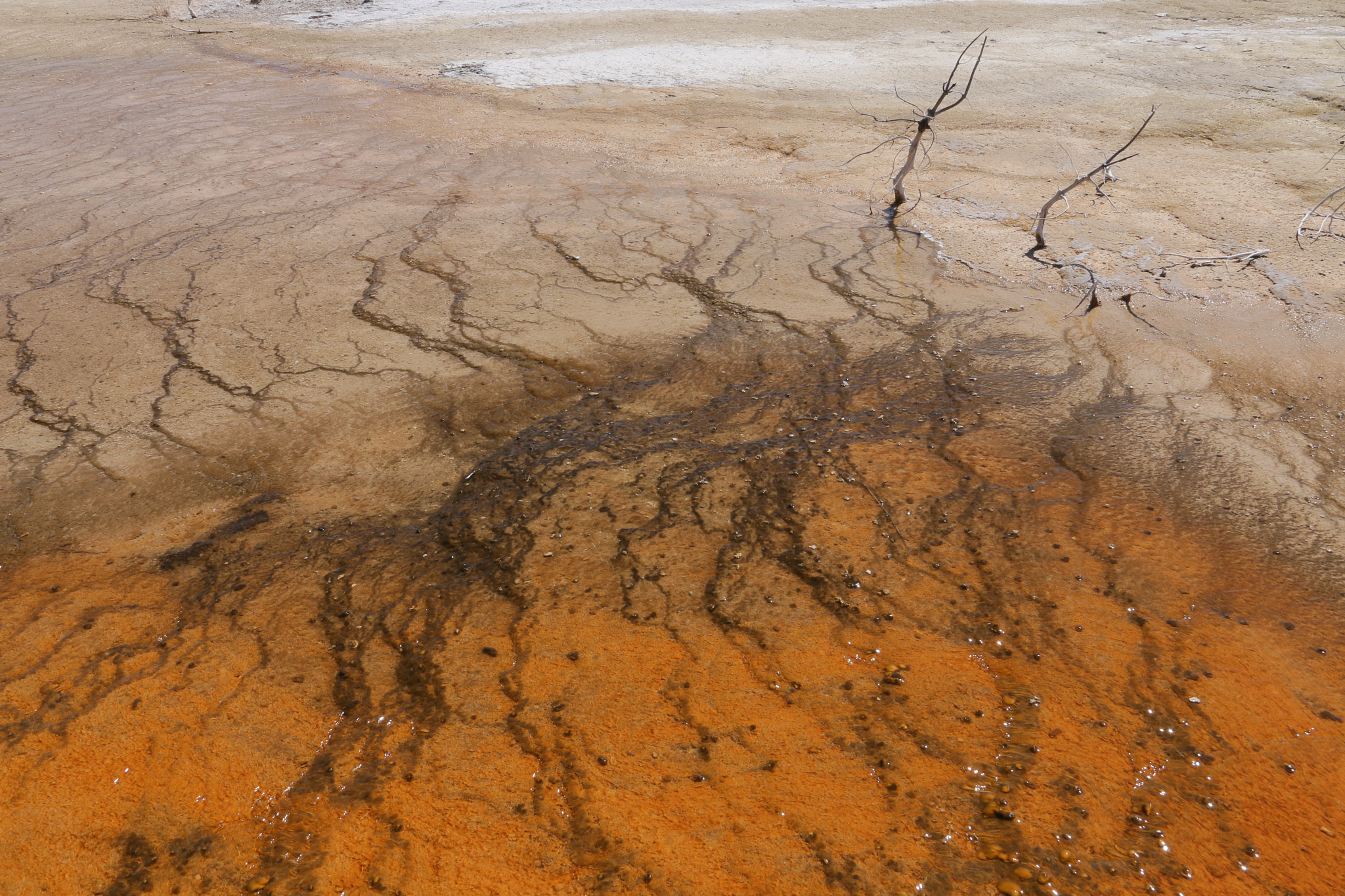 Canon EOS 70D sample photo. Angelo iacovella - textures of yellowstone photography