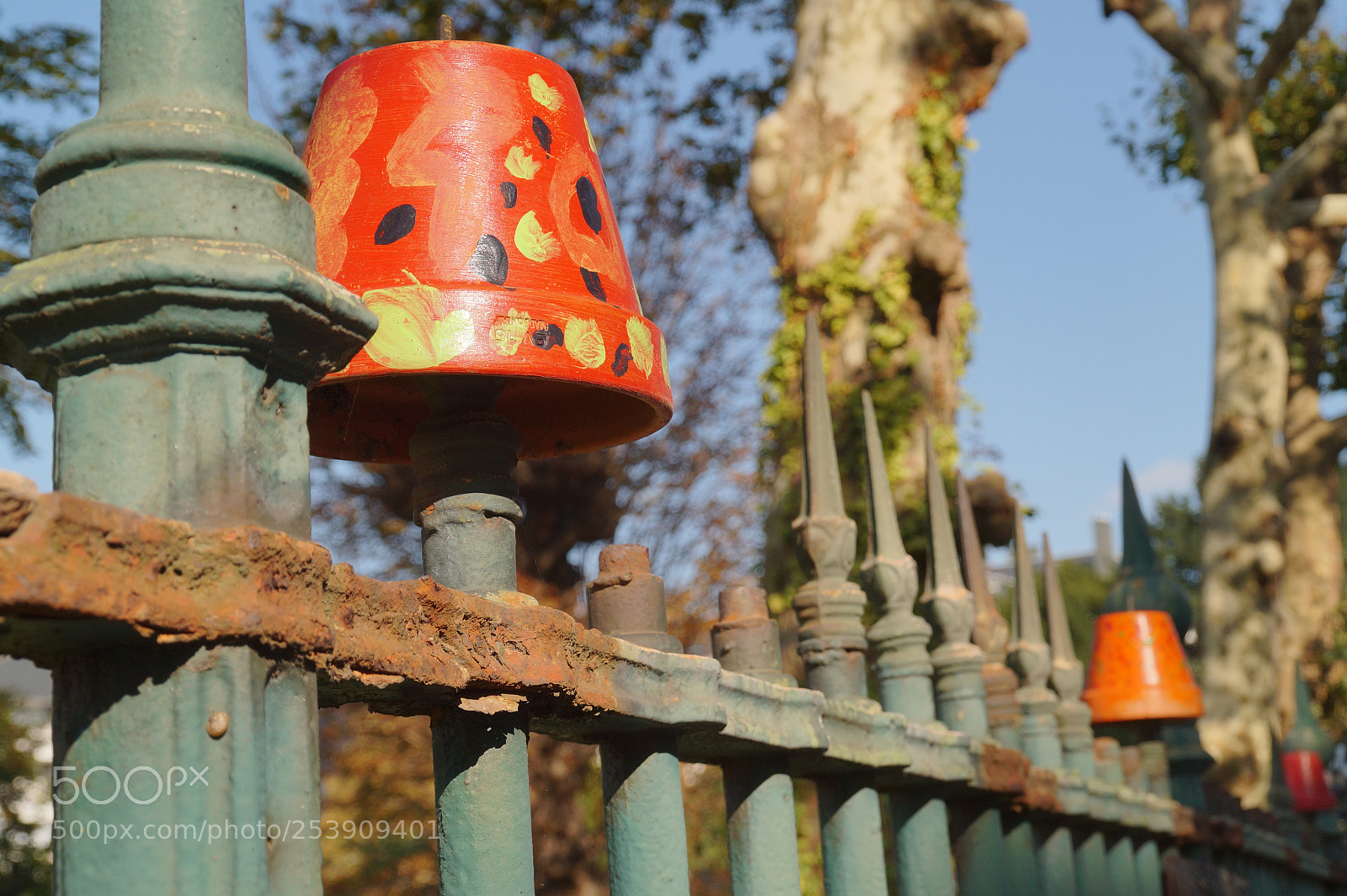Sony SLT-A58 sample photo. Pot de grille  photography