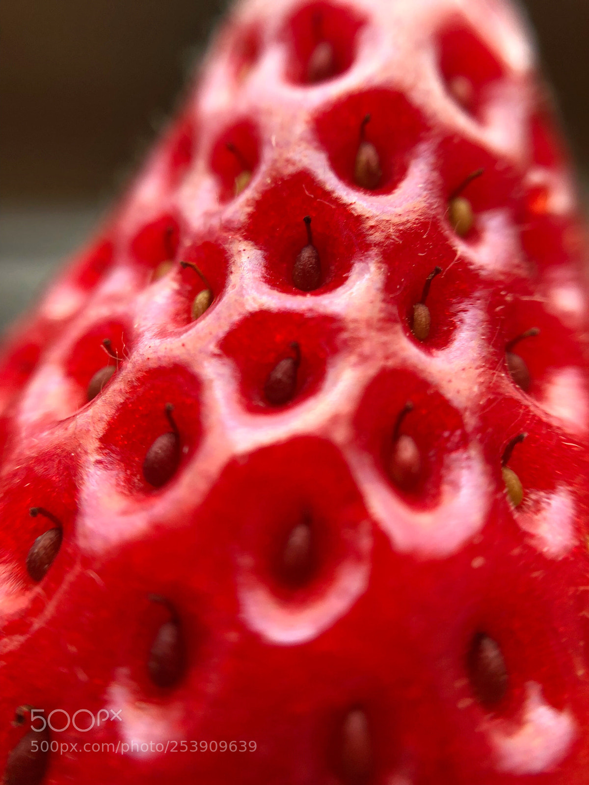 Apple iPhone 8 sample photo. Strawberry photography