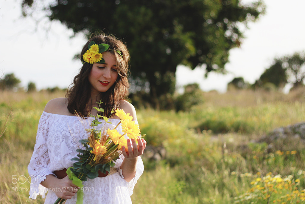 Canon EOS 7D sample photo. Amarillo photography