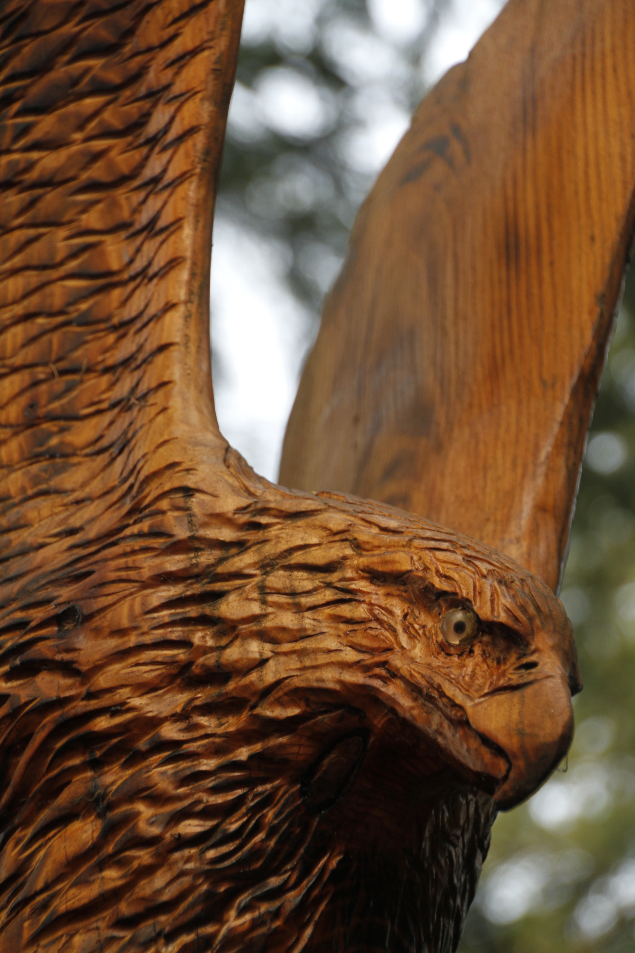 Canon EOS 7D sample photo