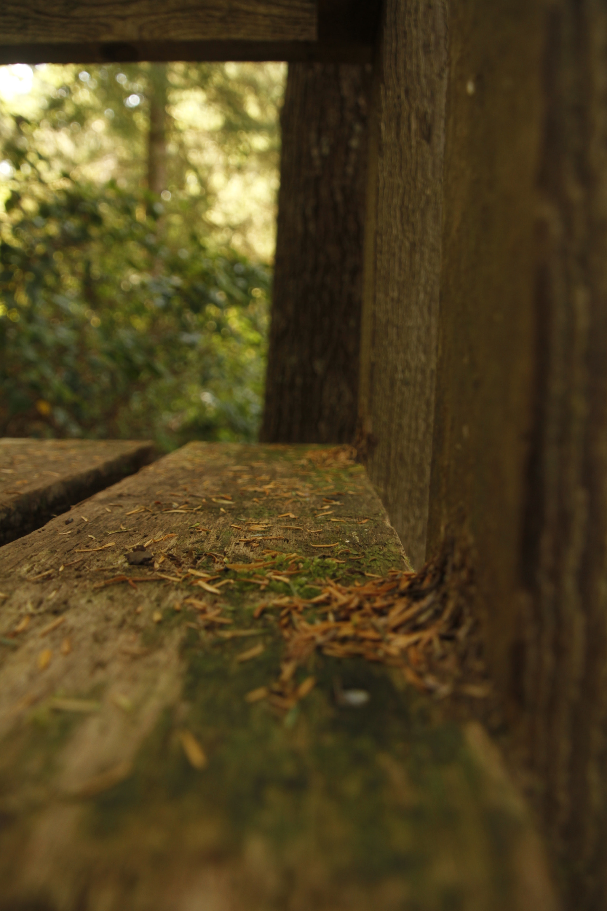 Canon EOS 7D sample photo
