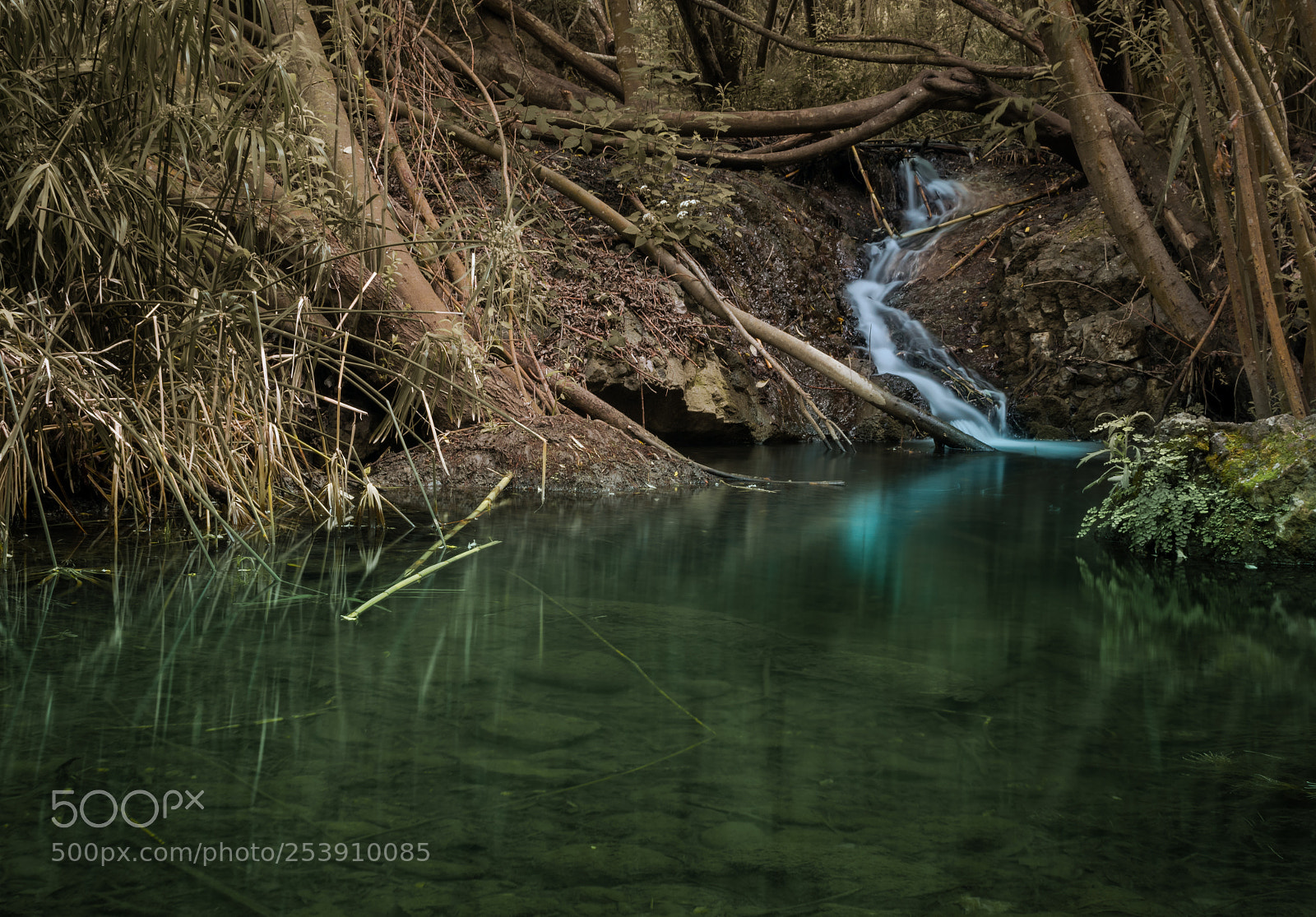 Nikon D3300 sample photo. The flow of water photography