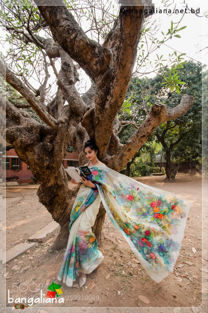 Canon EOS 70D sample photo. Handpaint saree photography