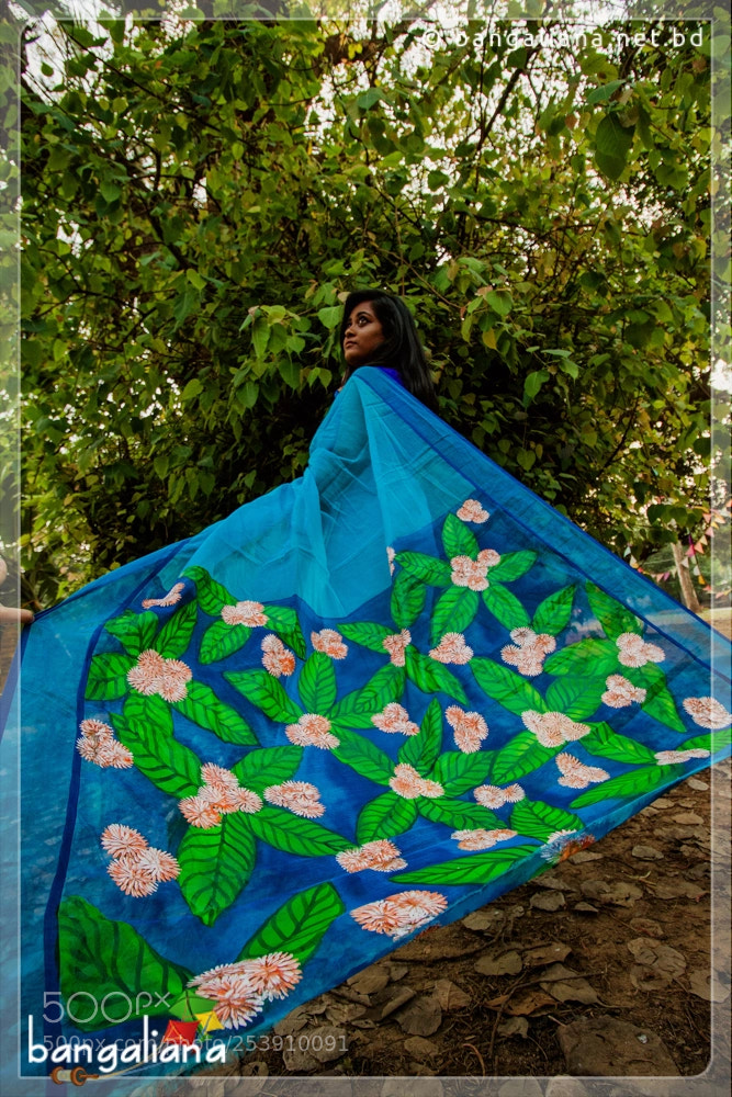 Canon EOS 70D sample photo. Handpaint saree photography
