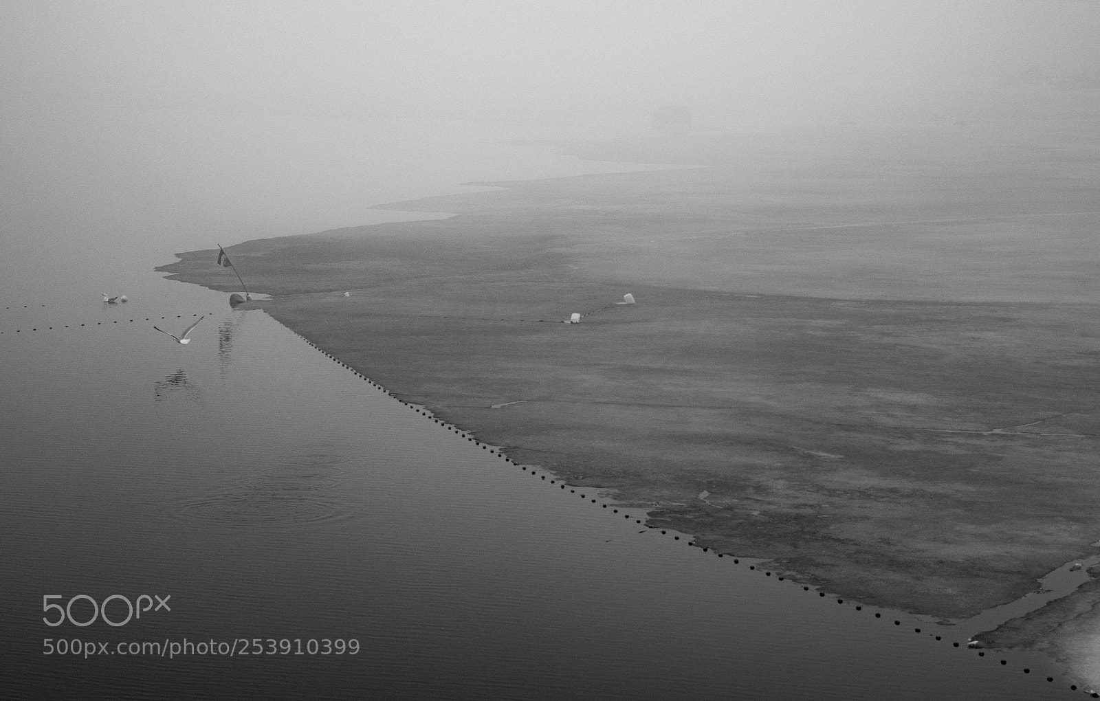 Nikon D3400 sample photo. Launch in the mist photography