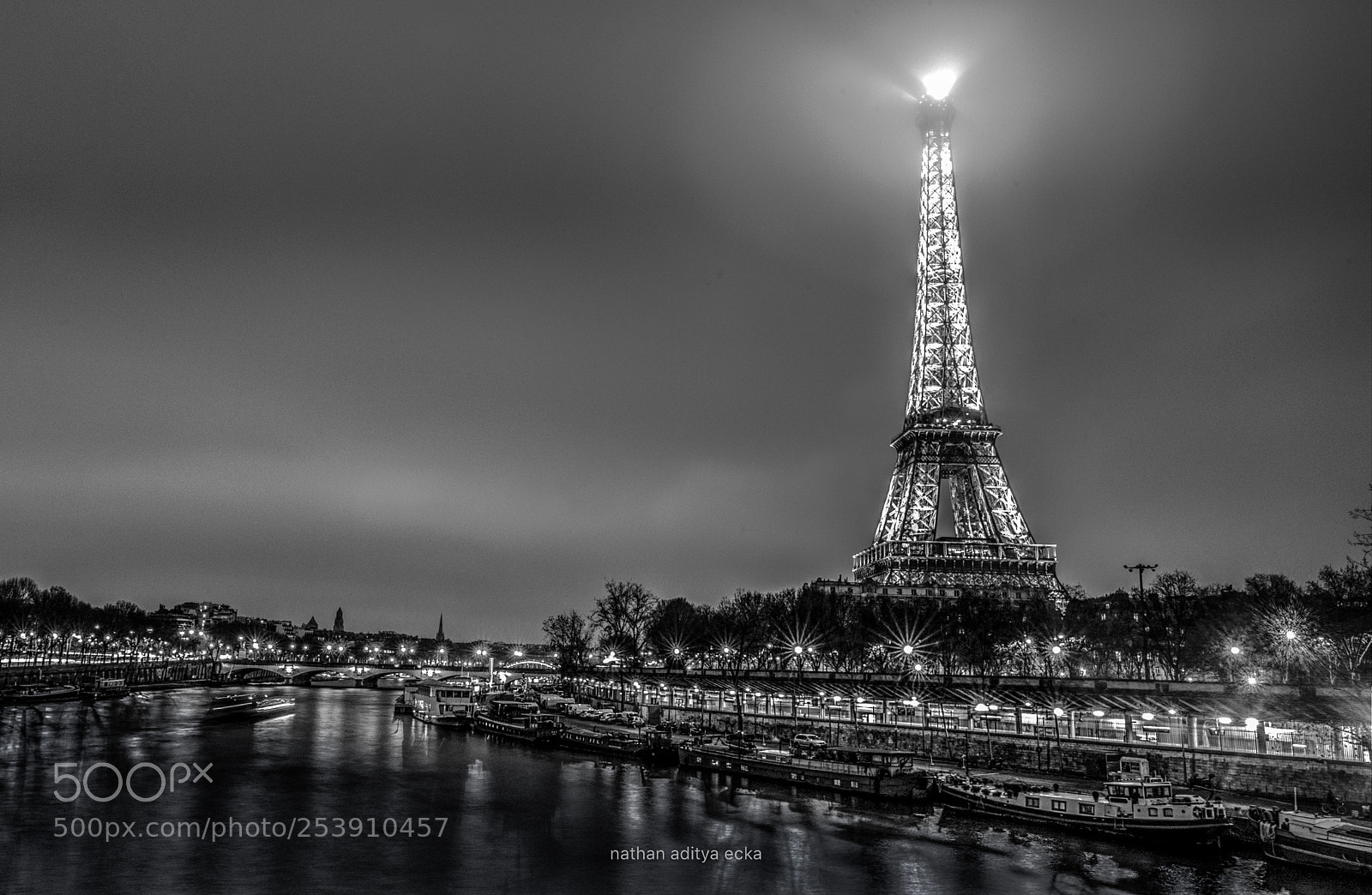 Nikon D700 sample photo. Winter eiffel photography