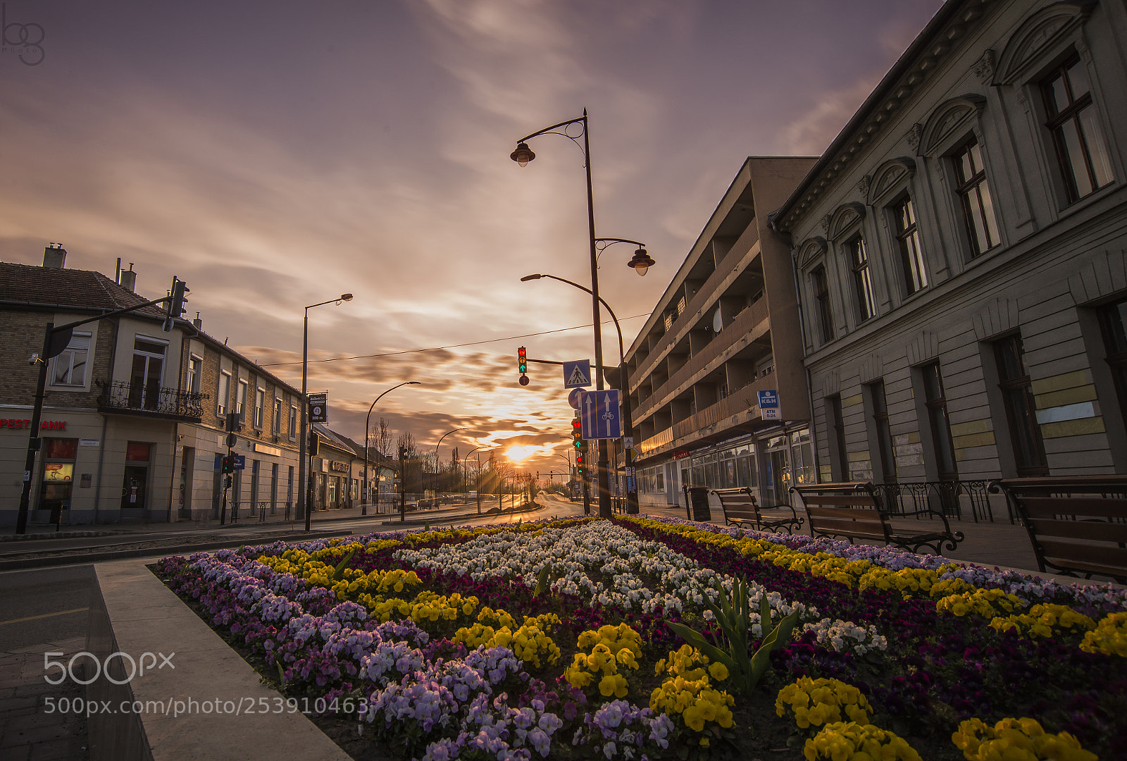 Nikon D610 sample photo. Spring in my town photography