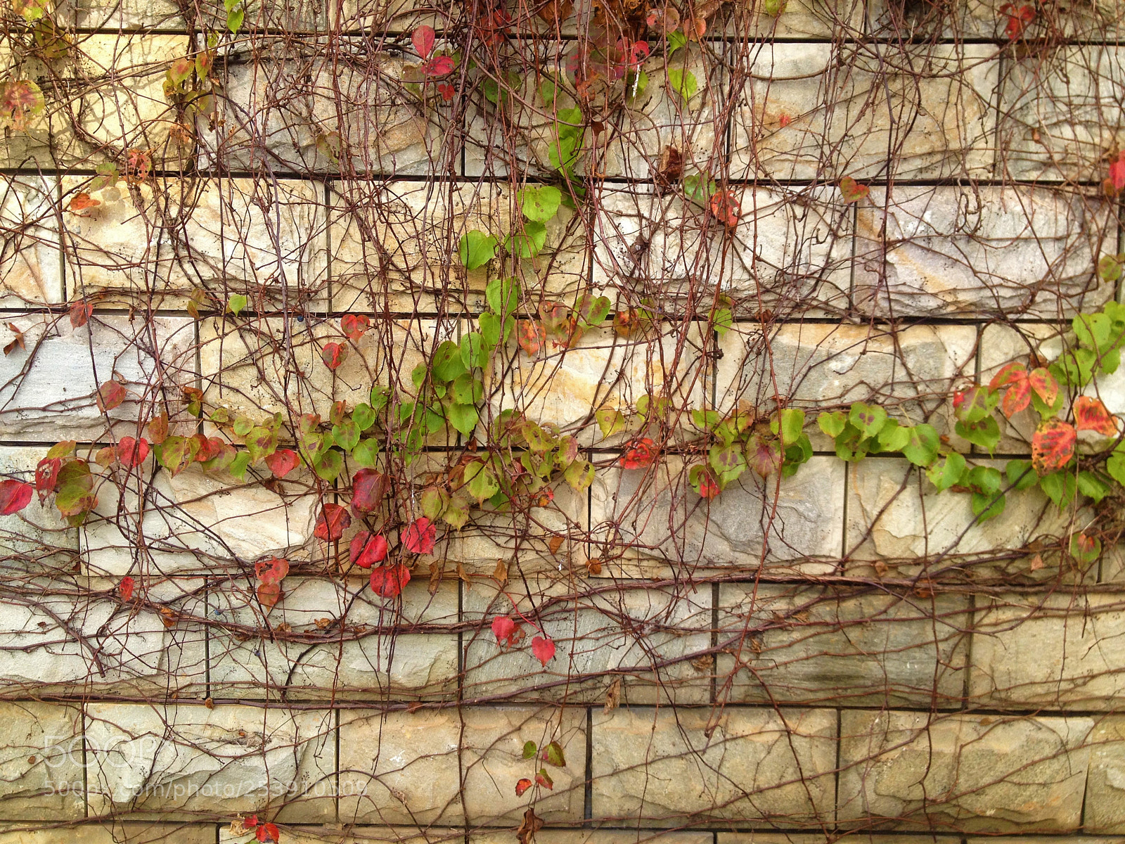 Apple iPhone 4S sample photo. Untitled photography