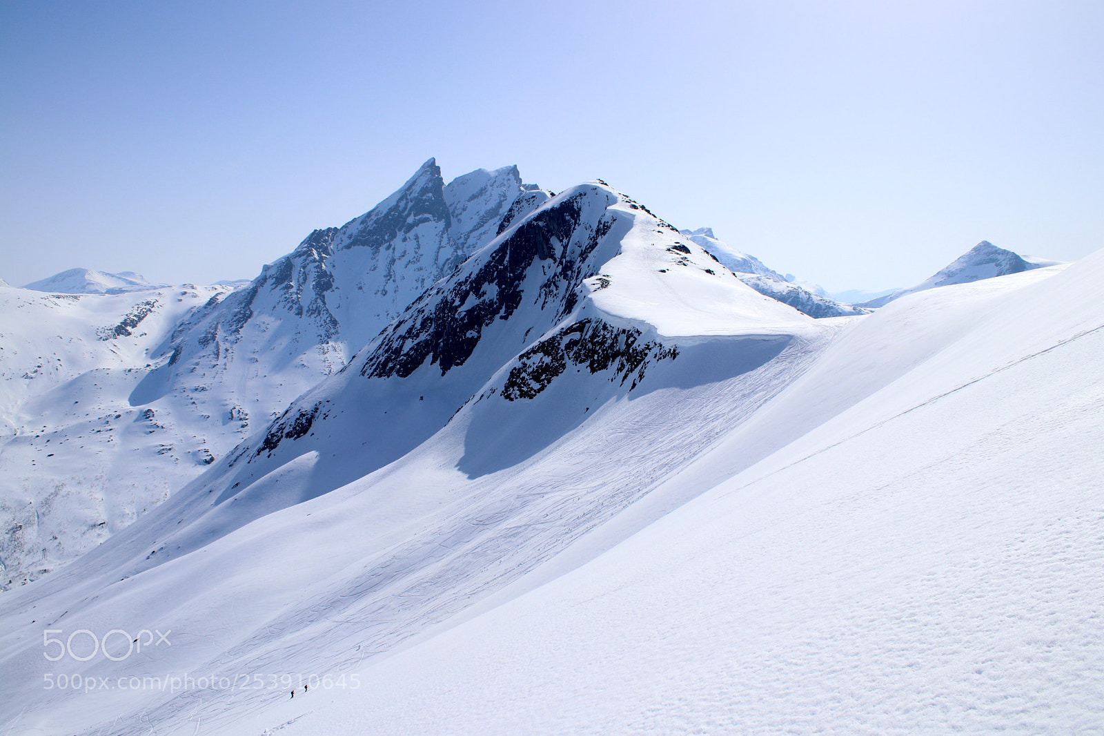 Canon EOS 80D sample photo. Blånebba, romsdalen photography