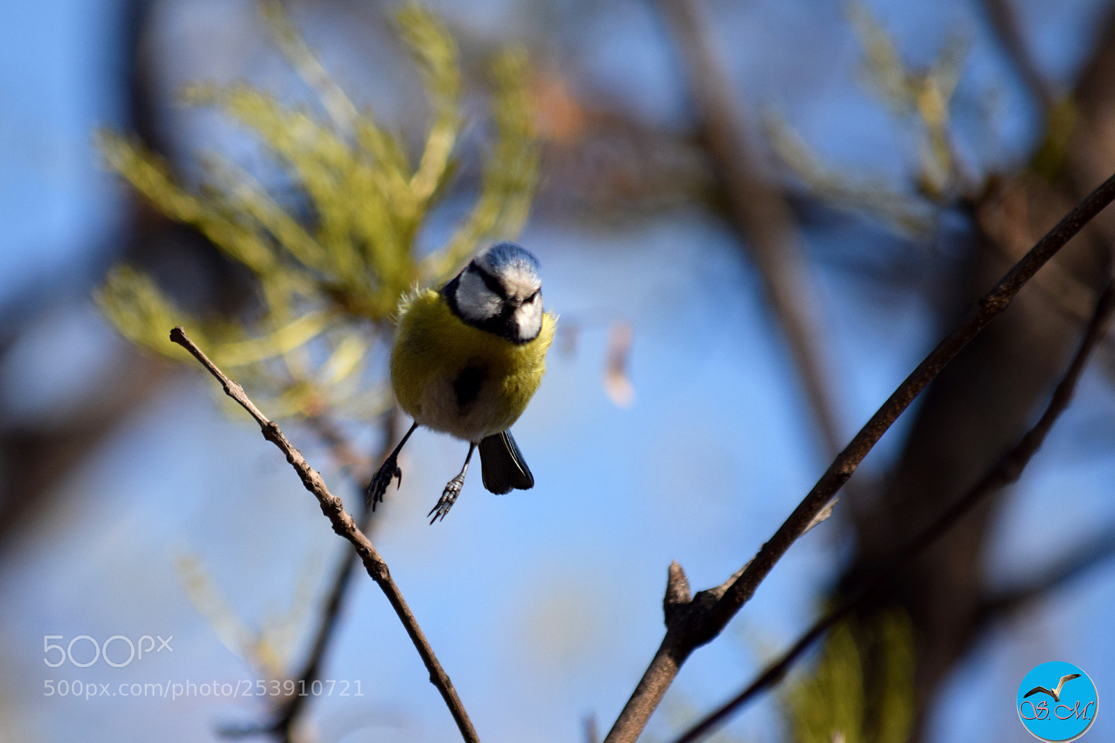 Nikon D3300 sample photo. Je vais faire un photography