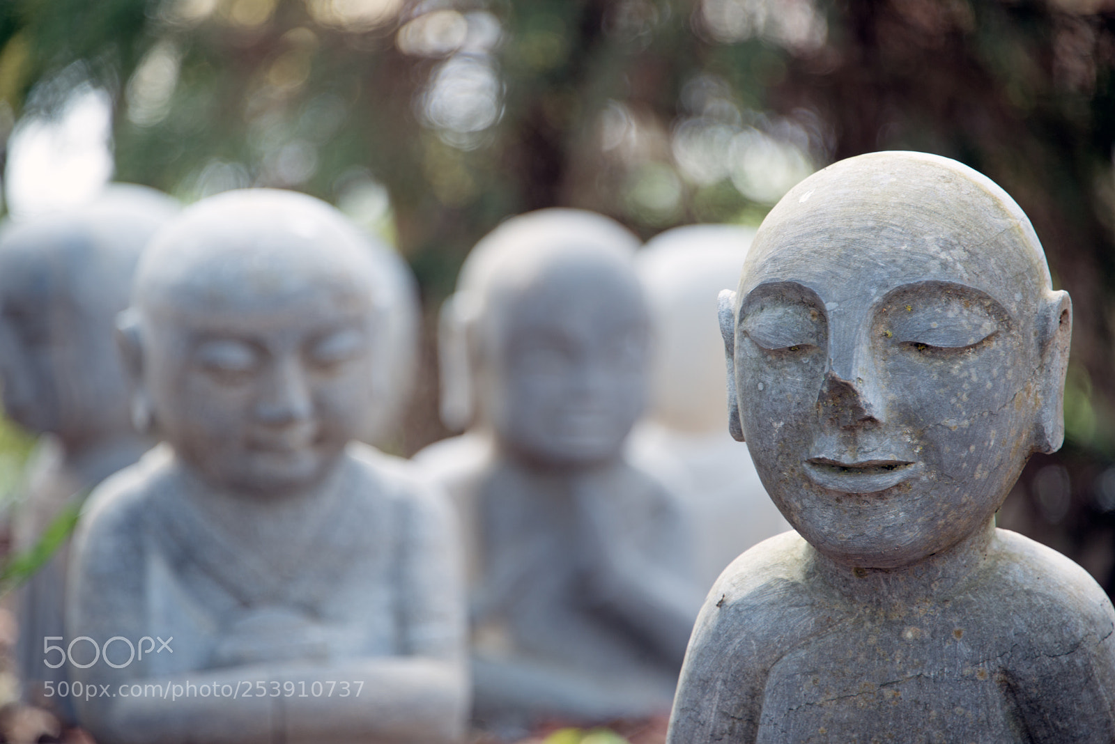 Nikon D800 sample photo. Little buddha statues photography