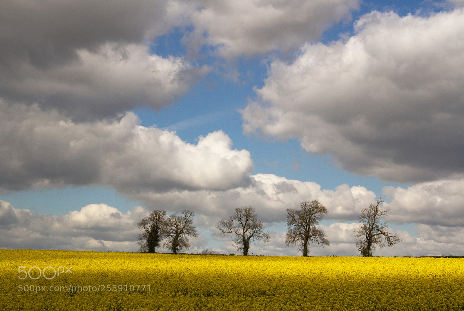 Canon EOS 7D sample photo. Spring light & shadows photography