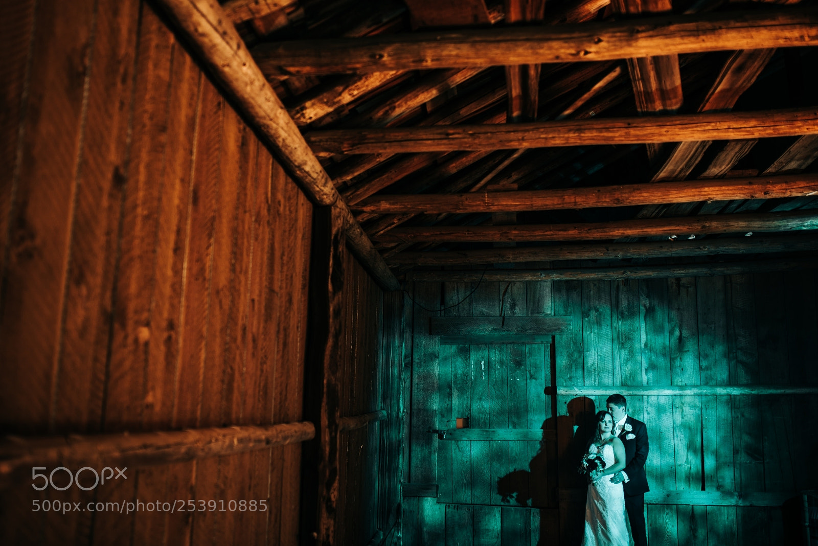 Nikon D810 sample photo. Untitled photography
