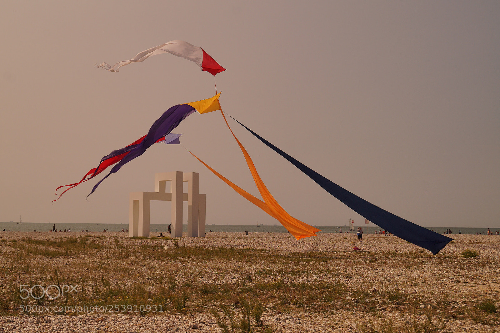 Sony SLT-A58 sample photo. Cerf-volant 
kite  photography