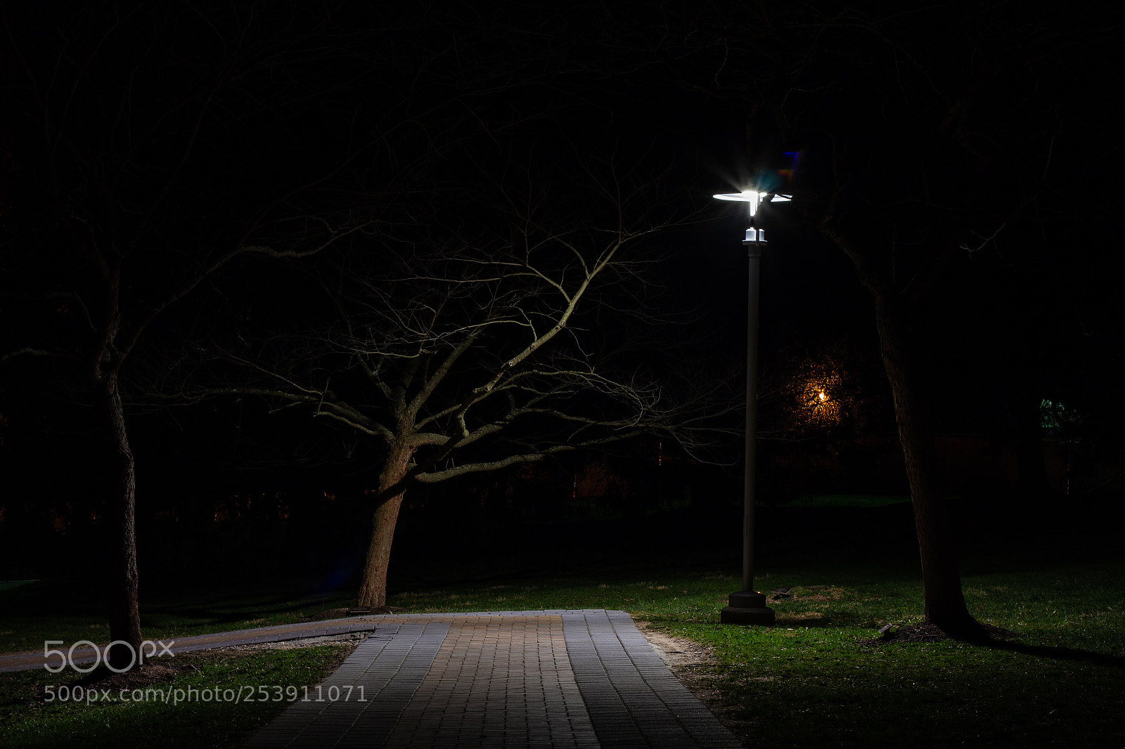 Canon EOS 60D sample photo. Lampost by van meter photography