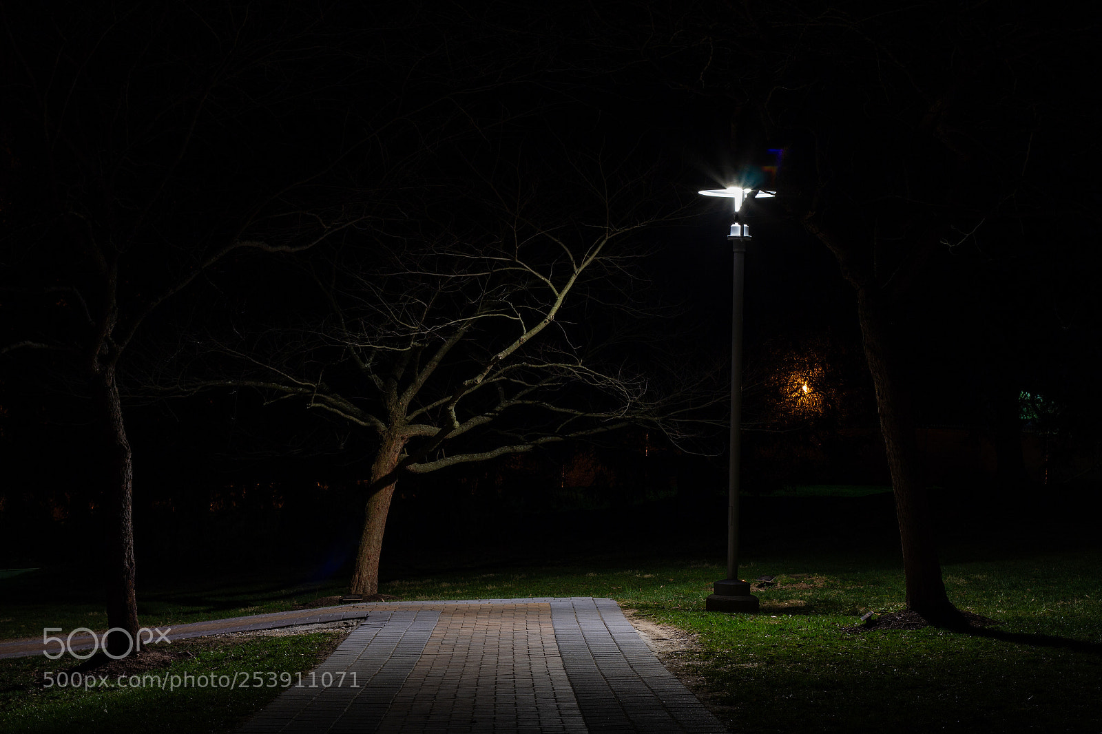 Canon EOS 60D sample photo. Lampost by van meter photography