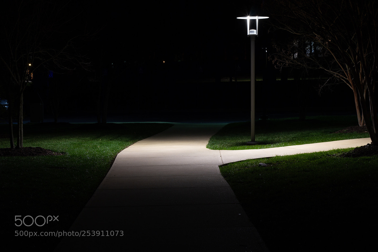 Canon EOS 60D sample photo. Lamppost by ath photography