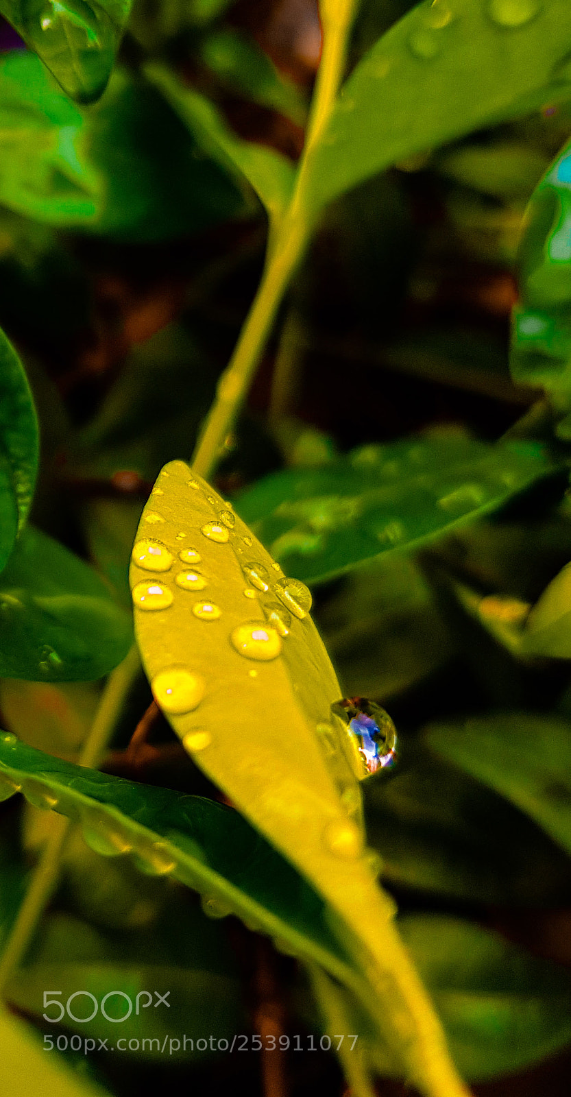 Samsung Galaxy S8 sample photo. Untitled photography