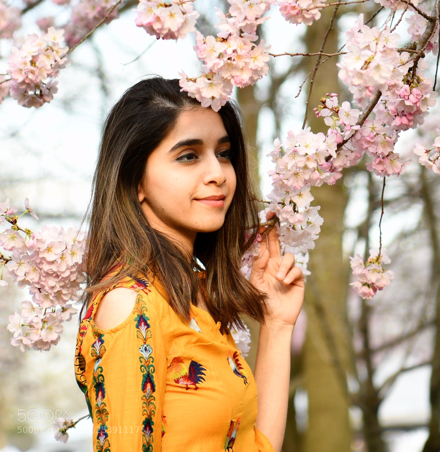 Nikon D850 sample photo. Girl with cherry blossoms 2 photography