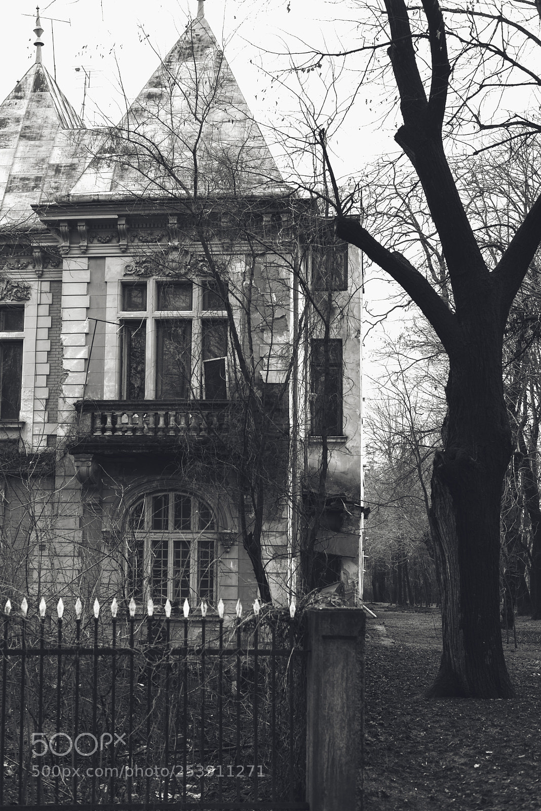 Nikon D610 sample photo. Old house.. photography