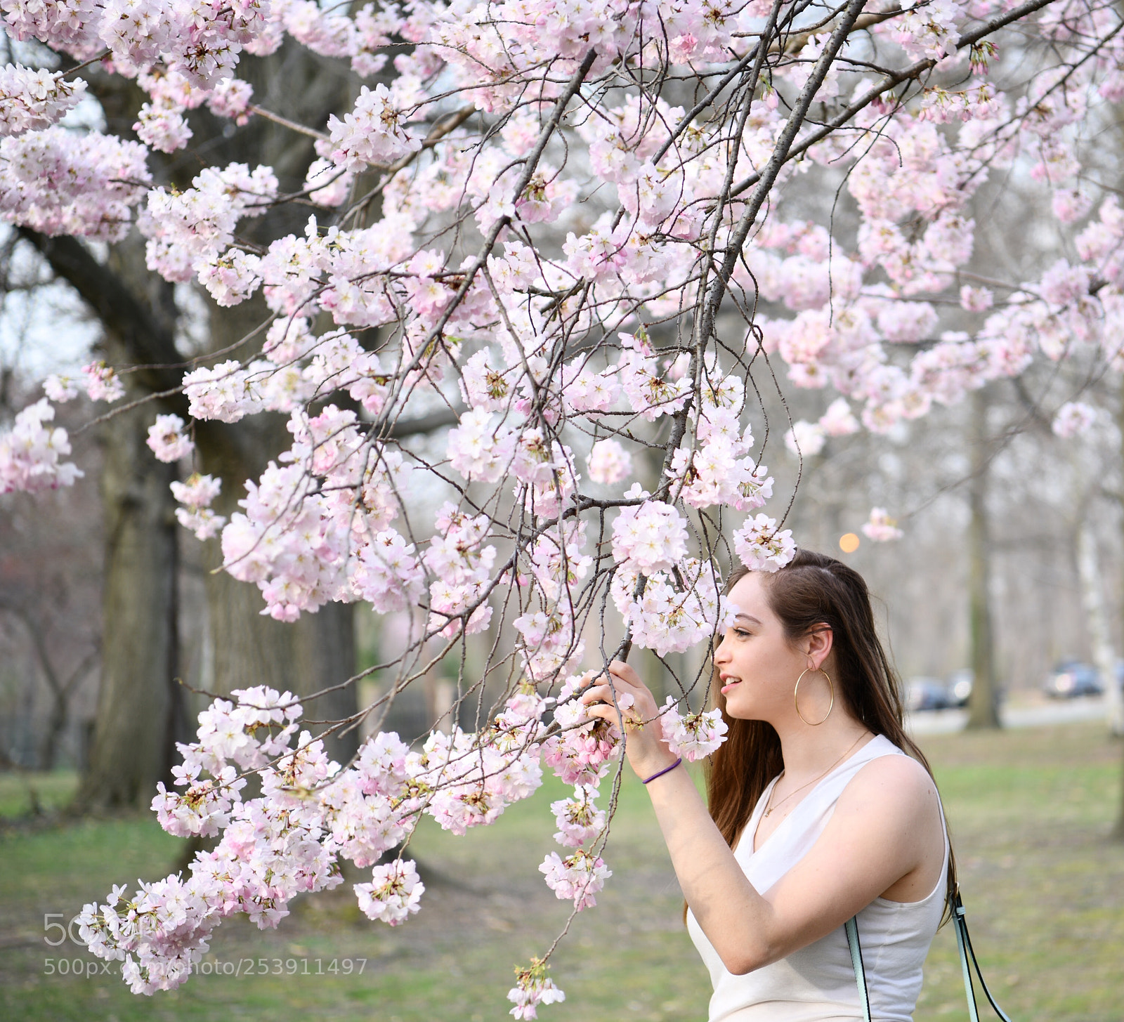Nikon D850 sample photo. Girl with cherry blossoms 3 photography