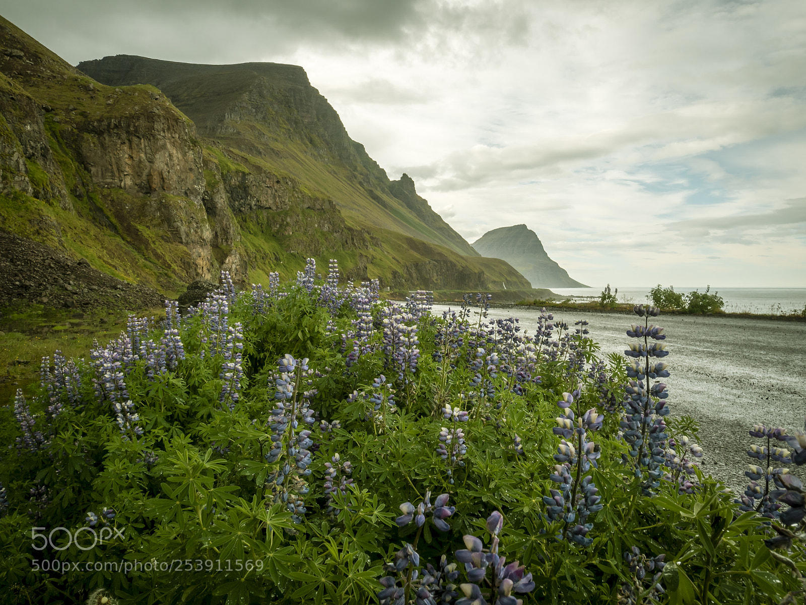 Olympus OM-D E-M5 II sample photo. Westfjords iceland photography