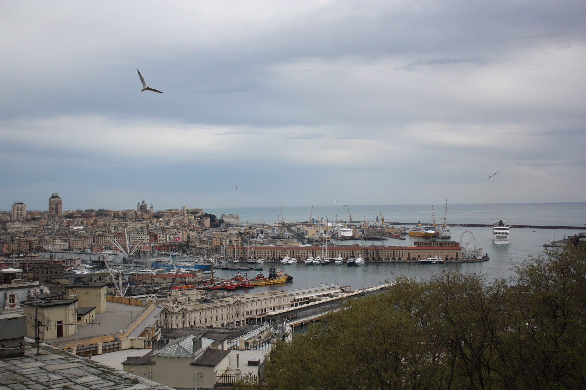 Canon EOS 450D (EOS Rebel XSi / EOS Kiss X2) sample photo. Genova porto photography