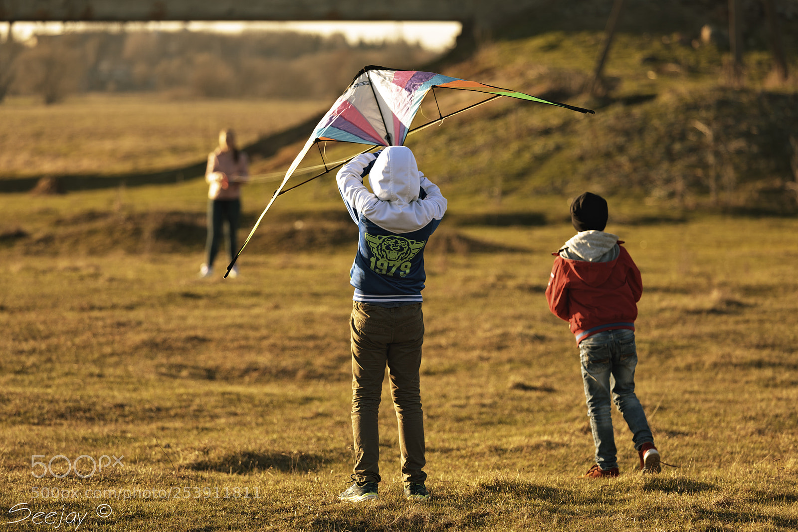 Canon EOS 5D Mark IV sample photo. Kite photography