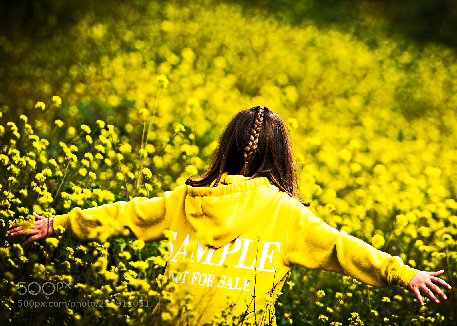 Nikon D7100 sample photo. Sample not for sale photography