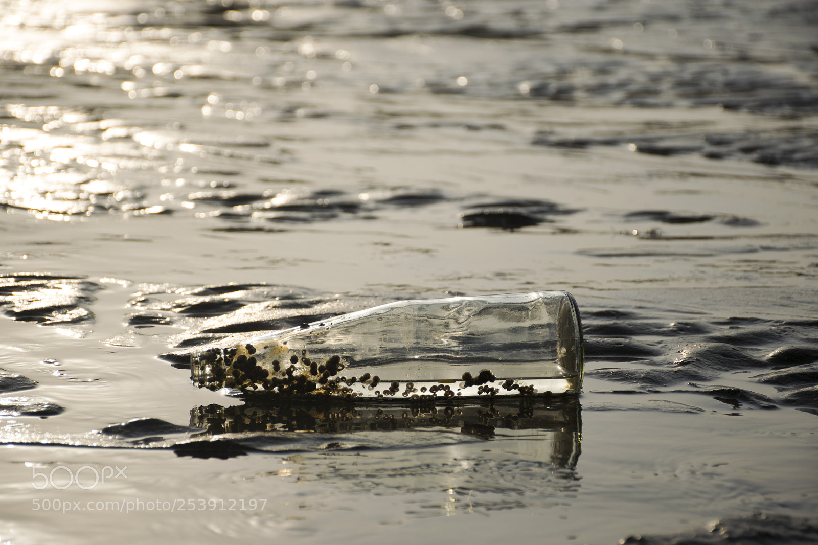 Nikon D5300 sample photo. Bottle on a beach photography