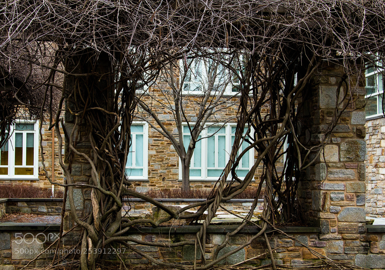 Canon EOS 60D sample photo. Hole in outdoor classroom photography
