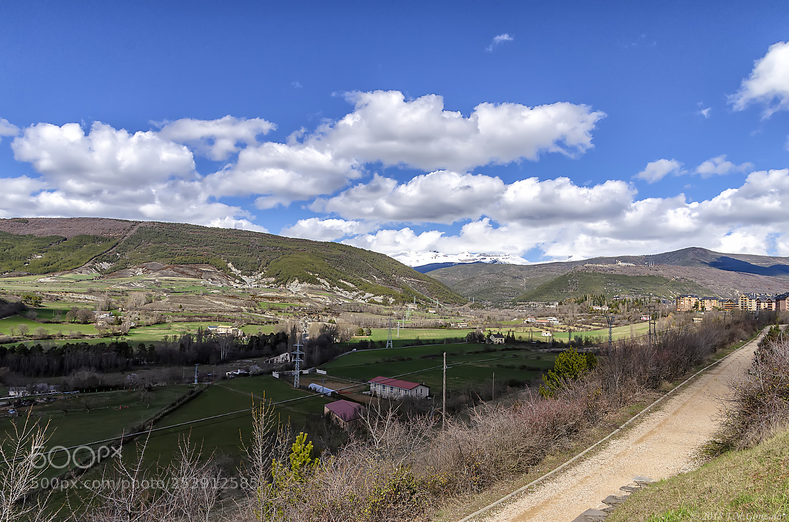 Nikon D5100 sample photo. Foto photography