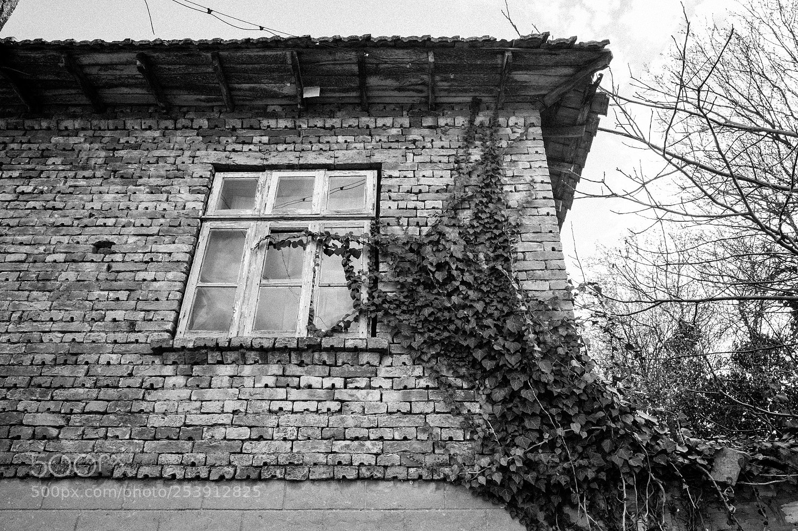 Nikon D700 sample photo. Abandoned 4 photography